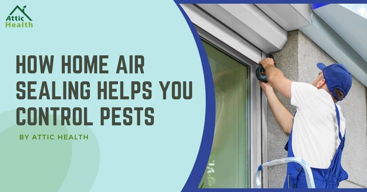 How Home Air Sealing Helps You Control Pests, Keep Pests Out of your Home! Image shows man weather stripping a window from exterior of a home.