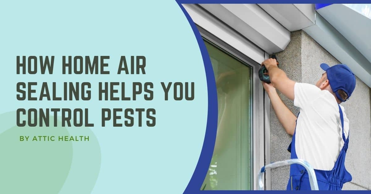 How Home Air Sealing Helps You Control Pests, Keep Pests Out of your Home! Image shows Attic Health Team weather stripping a window from exterior of a home.