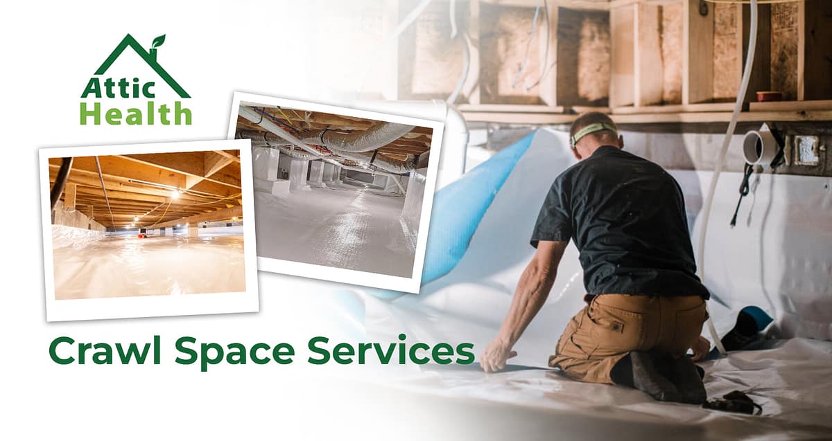 Crawl Space Services