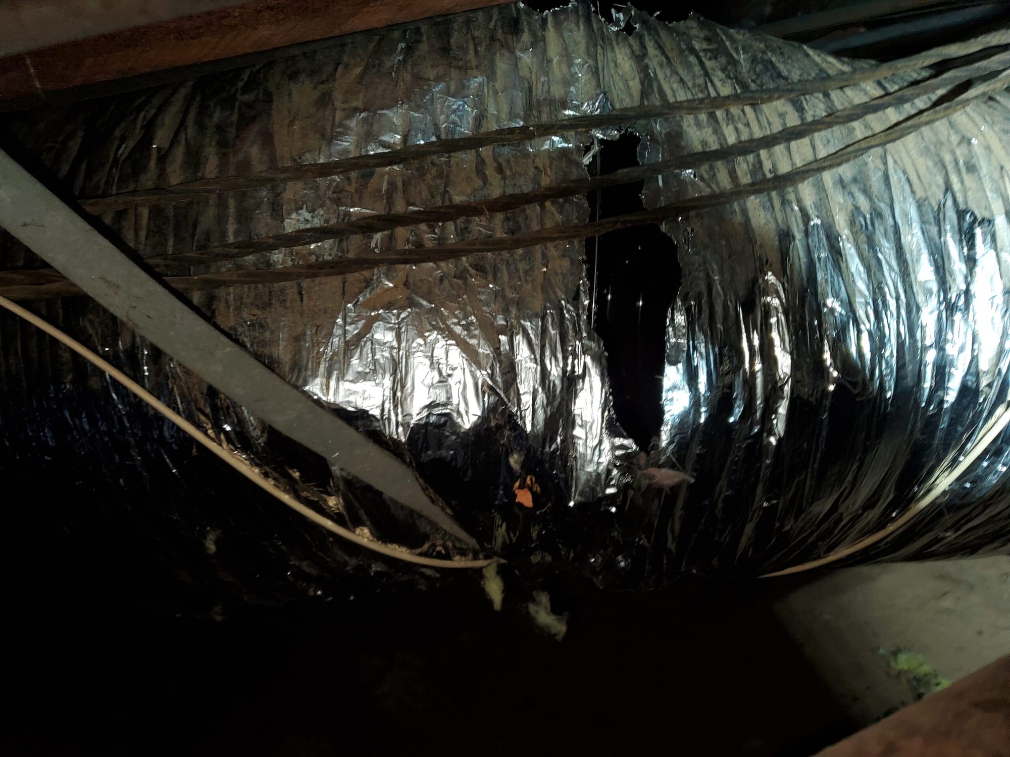 HVAC Duct tear leaking cold air from air conditioning into the attic making the pests comfortable and wasting your utility bill. These types of things get missed by installers, but will not be missed by an Attic Inspection. 