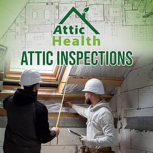 attic cleaning services blog