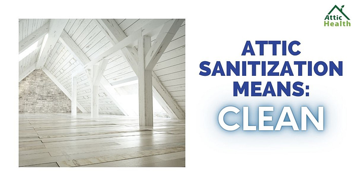 Attic Insulation San Diego | rodent removal service